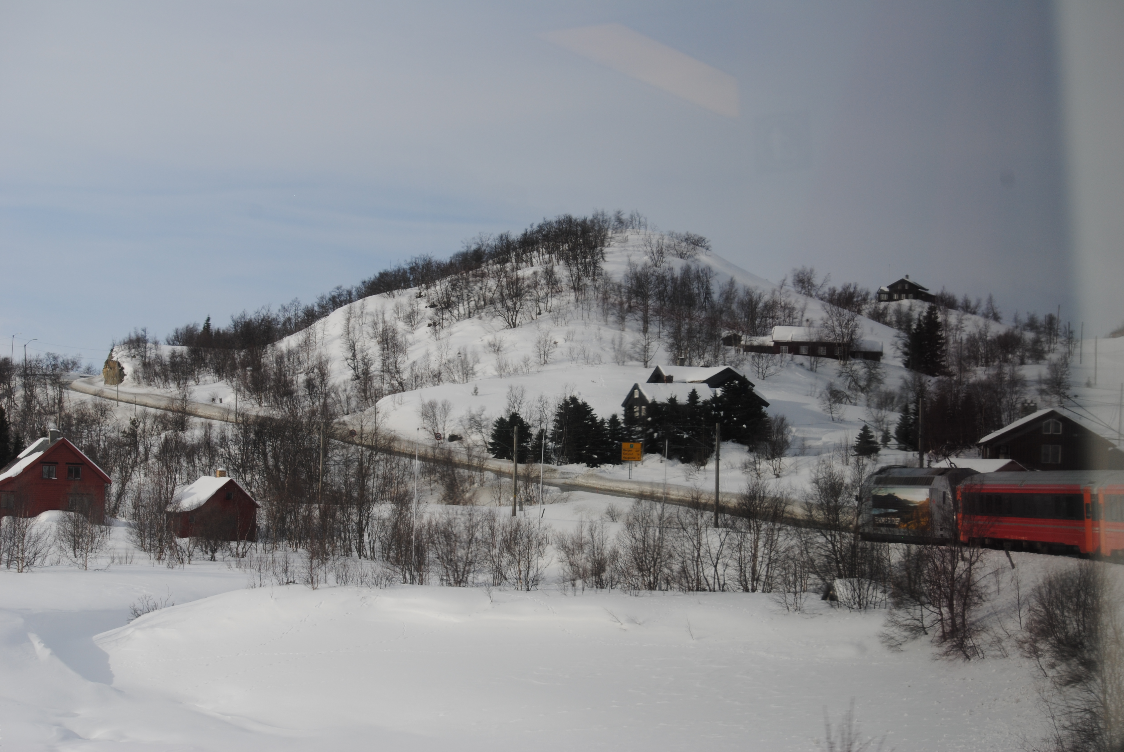 scenic train Bergen