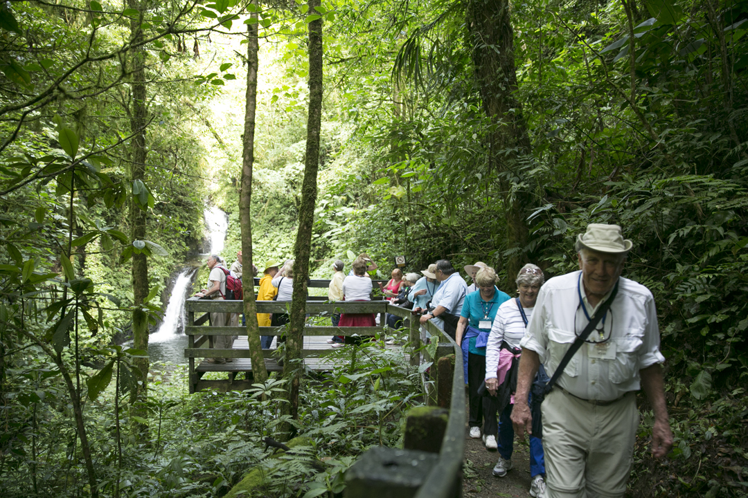 Tropical Rainforest